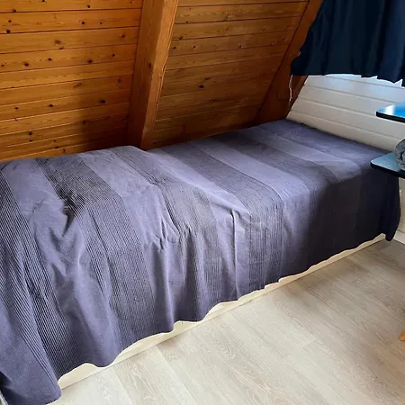 Schwan *